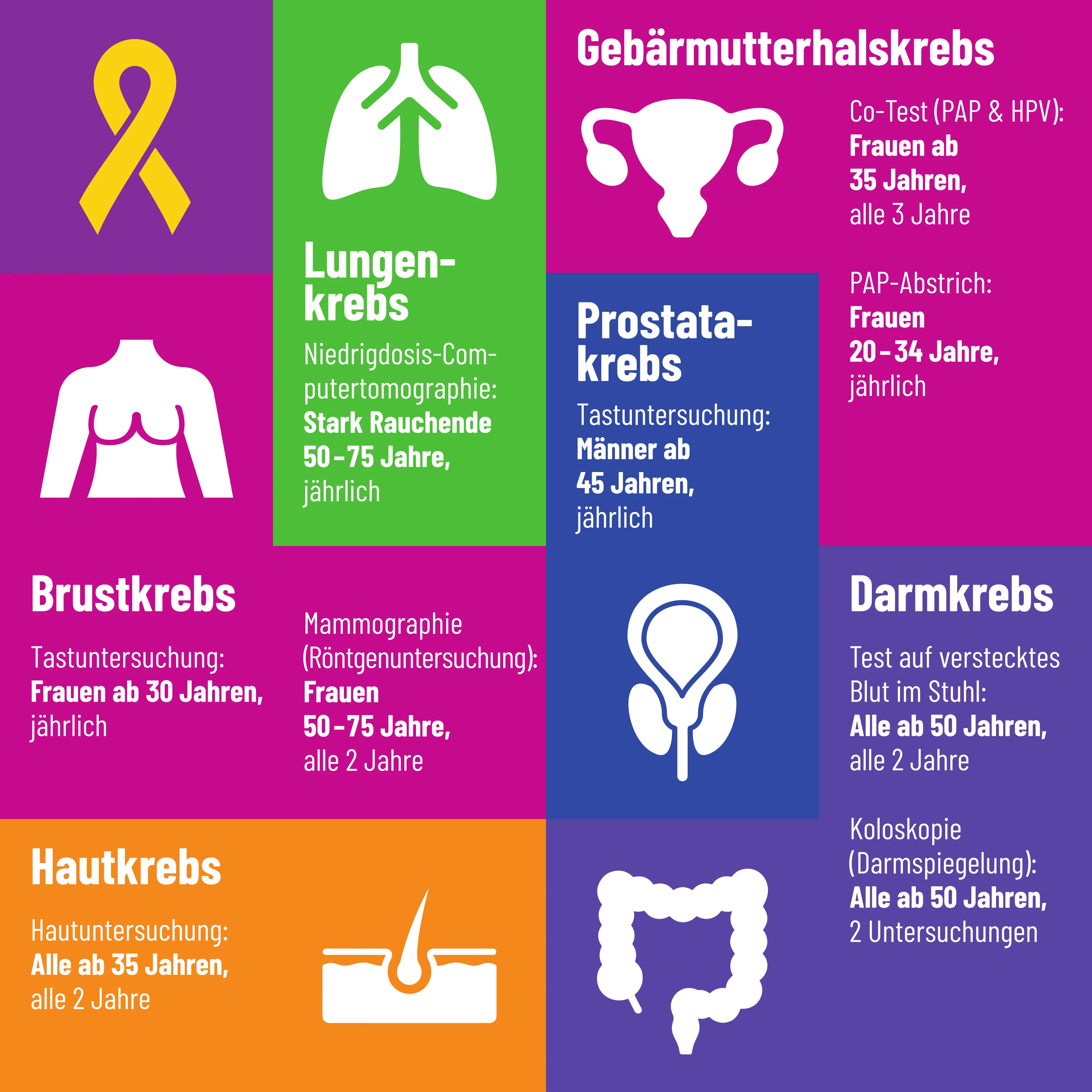 Infografik zur gesetzlichen Krebsfrüherkennung. Dargestellt sind die Altersgrenzen und Intervalle für Mammographie, Pap-Abstrich, HPV-Test, Haut- und Darmkrebs-Screenings sowie Tastuntersuchungen und Niedrigdosis-CT.